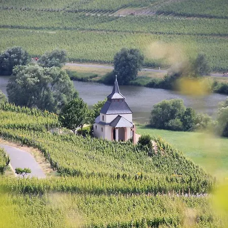 Wein & Gastehaus Hermeshof * Trittenheim