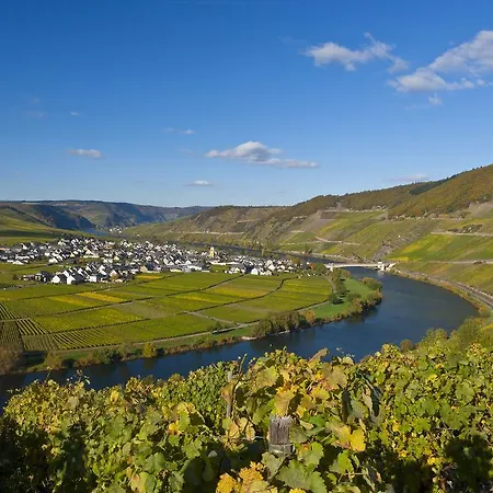 Wein & Gastehaus Hermeshof Gæstehus *