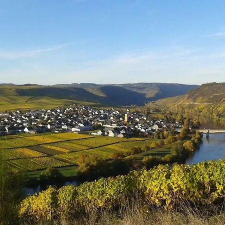 Wein & Gastehaus Hermeshof *