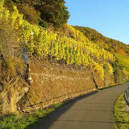 Wein & Gastehaus Hermeshof Trittenheim
