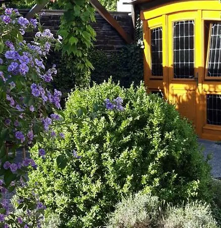 Penzion Wein & Gastehaus Hermeshof Trittenheim