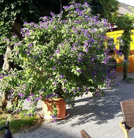 Wein & Gastehaus Hermeshof Gæstehus