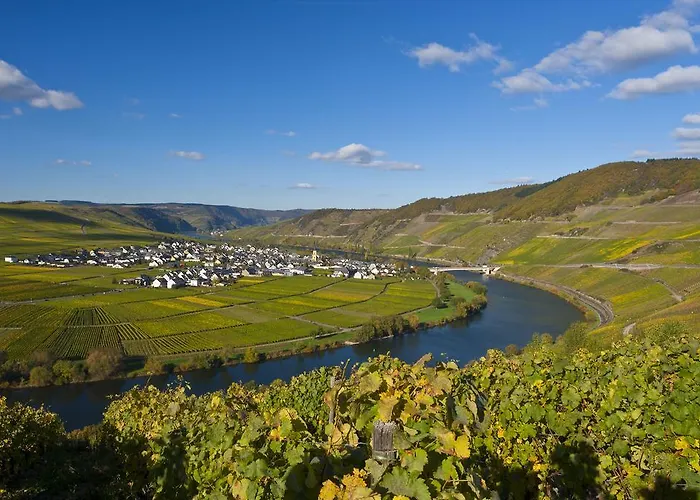 Wein & Gastehaus Hermeshof Pensjonat *