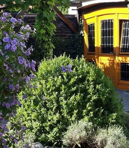 Pensjonat Wein & Gastehaus Hermeshof Trittenheim