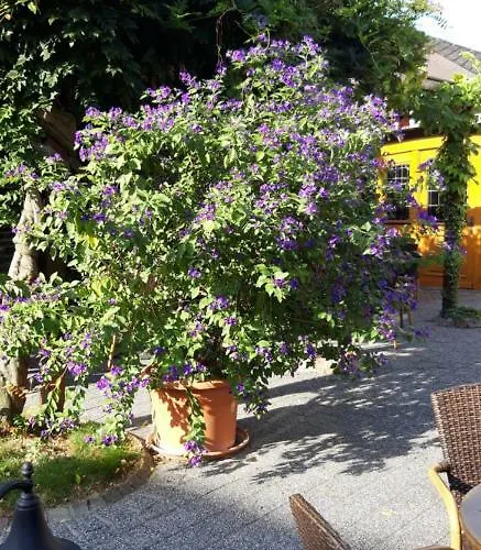 Wein & Gastehaus Hermeshof Pensjonat